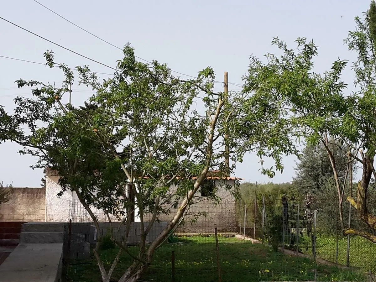 Bed & Breakfast B&B I 4 Venti Sassari Italy